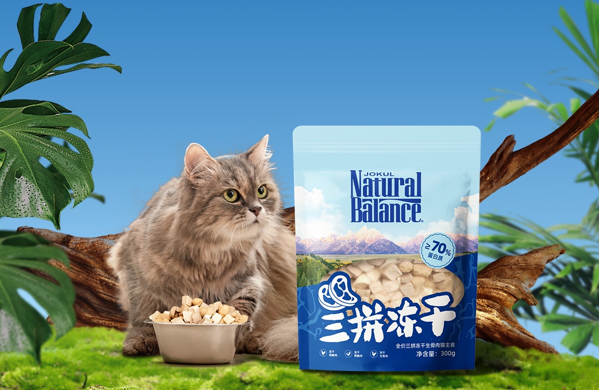 雪山宠物小课堂丨猫咪吃冻干生骨肉的好处